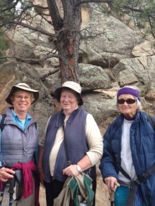 Nancy McDermott, Linda Joseph, Carolyn McNee, Mary Gravely (not pictured)